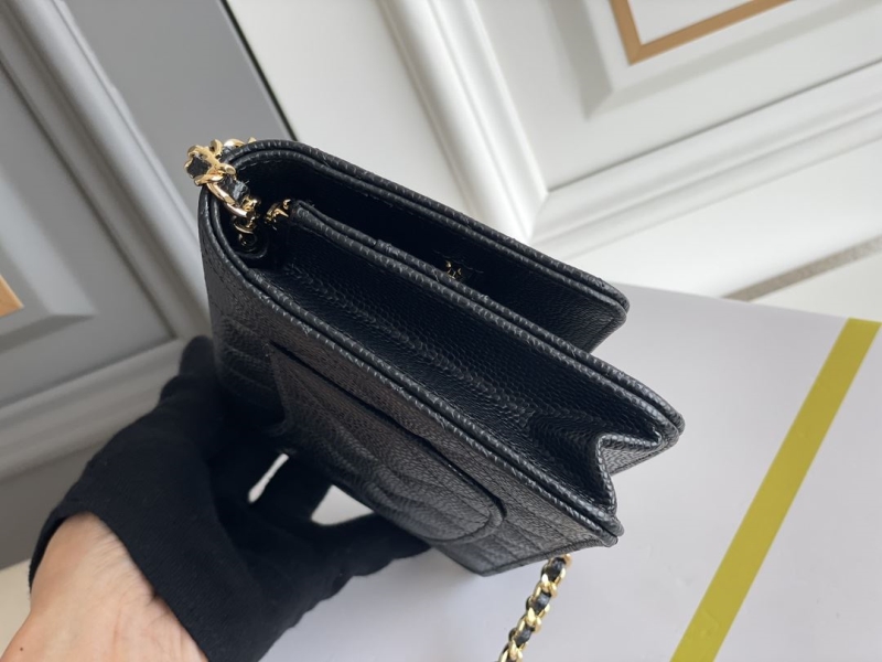 Chanel WOC Bags